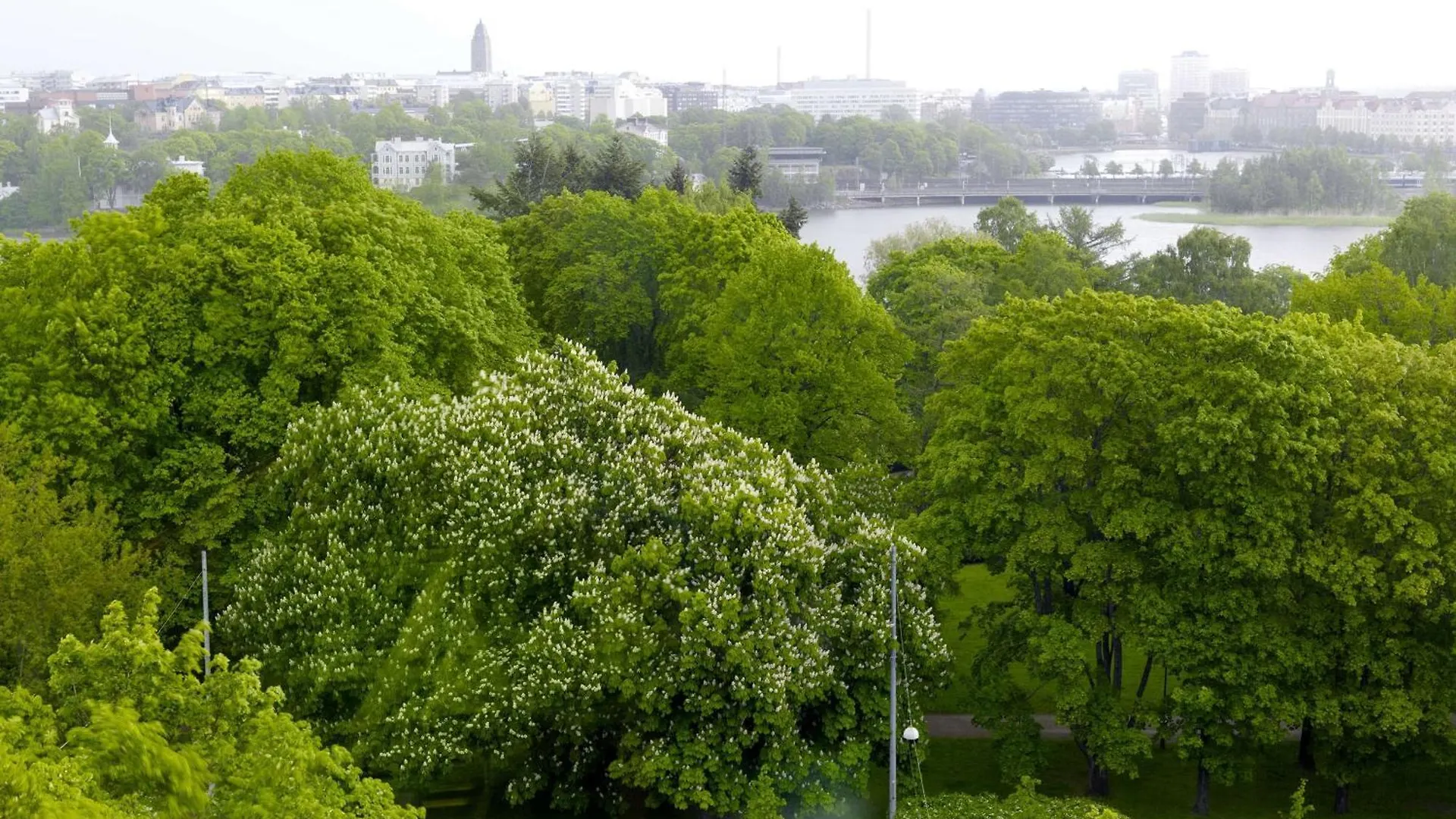 Scandic Park Helsingfors